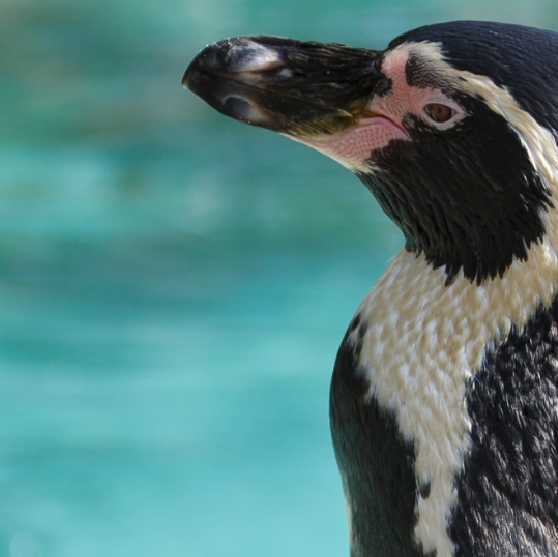 Um homem e uma mulher estão sentados no topo de uma montanha olhando para as montanhas.