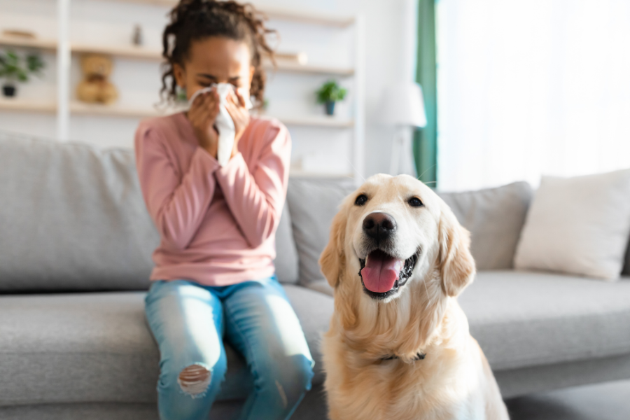 A girl is blowing her nose while sitting on a couch next to a dog.