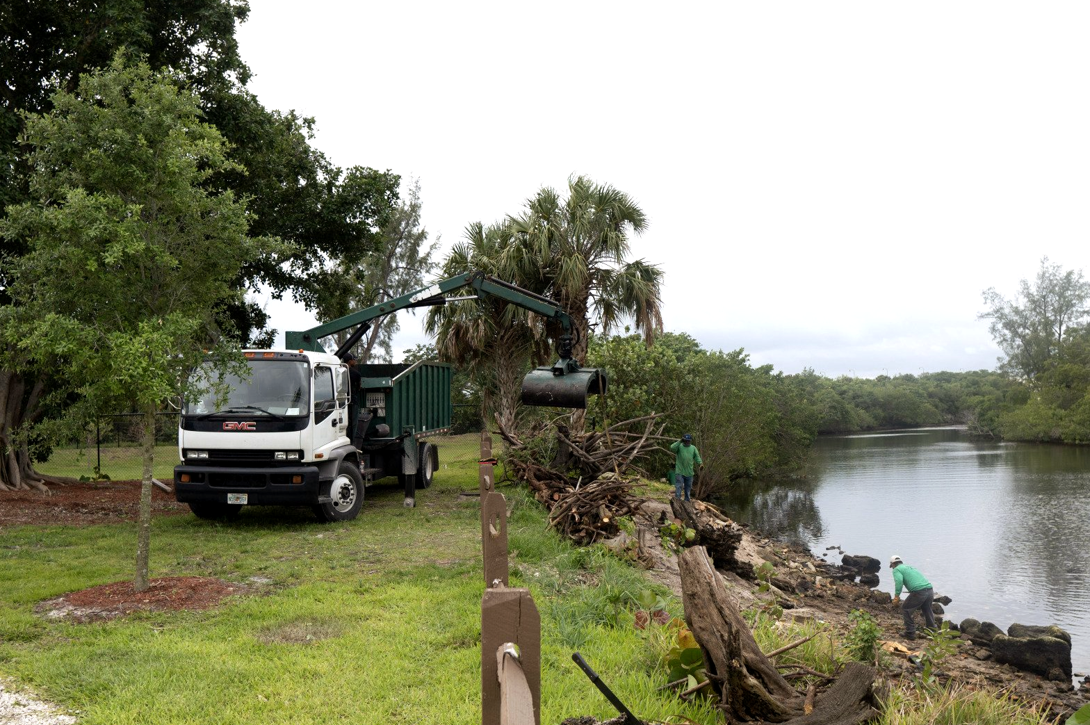 Land clearing service in South Florida performed on a park
