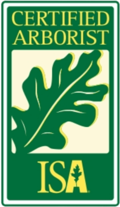 International society of arboriculture certified arborist logo real tree trimming and landscaping inc