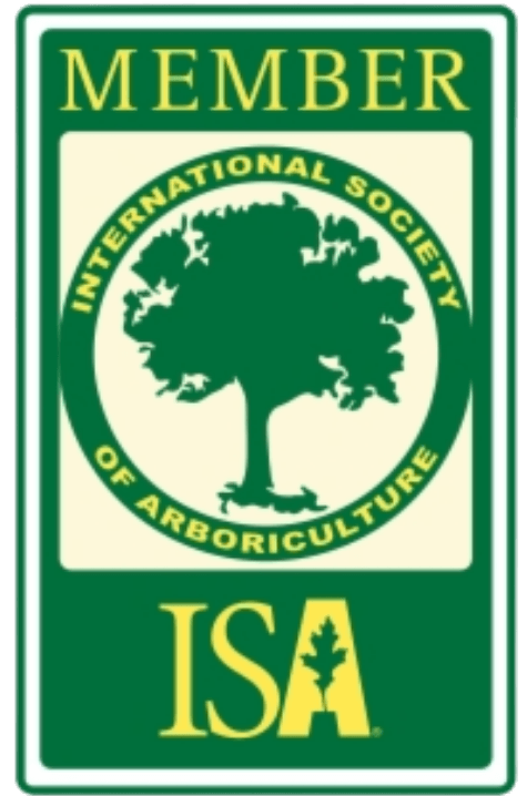 International society of arboriculture member logo real tree trimming and landscaping inc