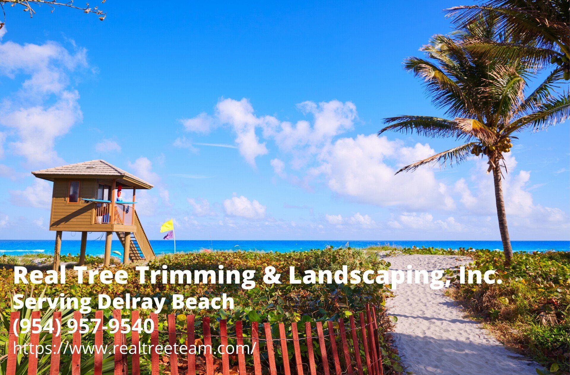 The Famous Delray Beach. Text by Real Tree Team - a tree company serving the Delray Beach area