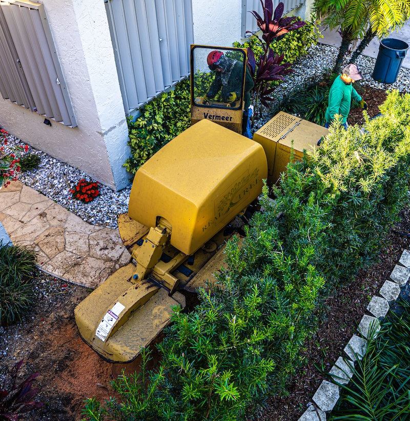 tree service pro in Fort Lauderdale FL using a stump grinding machine to grind a tree stump