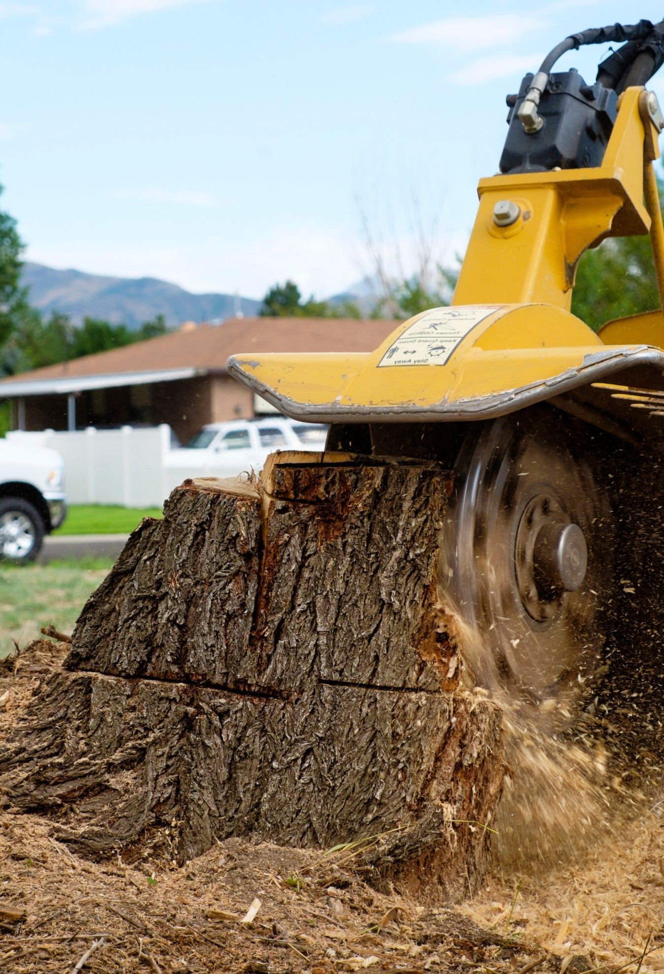 stump grinding in Fort Lauderdale FL