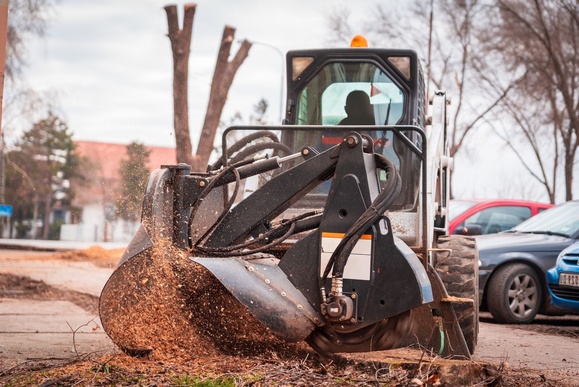 local contractor operating a stump grinding machinery in Naples FL