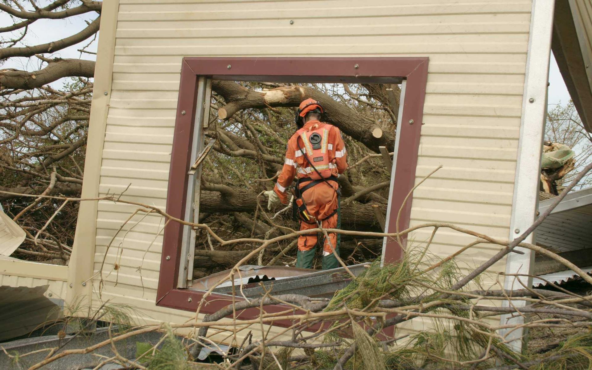 24/7 Emergency Tree Removal Response: What You Need to Know