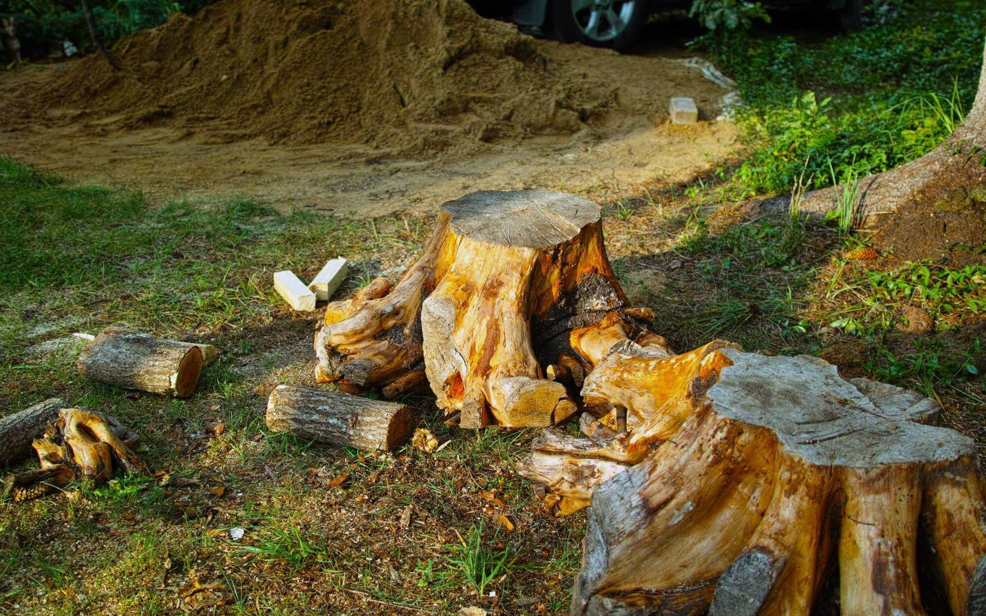 Affordable Stump Grinding Solutions for Your Yard