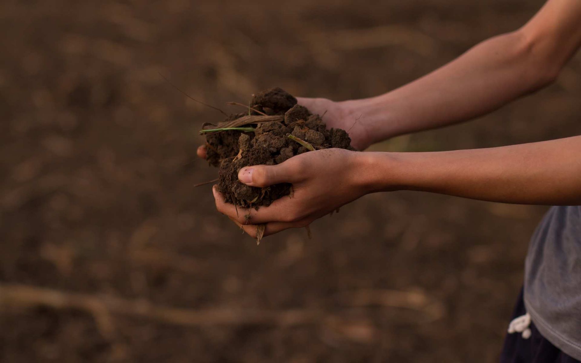 a handful of compacted soil