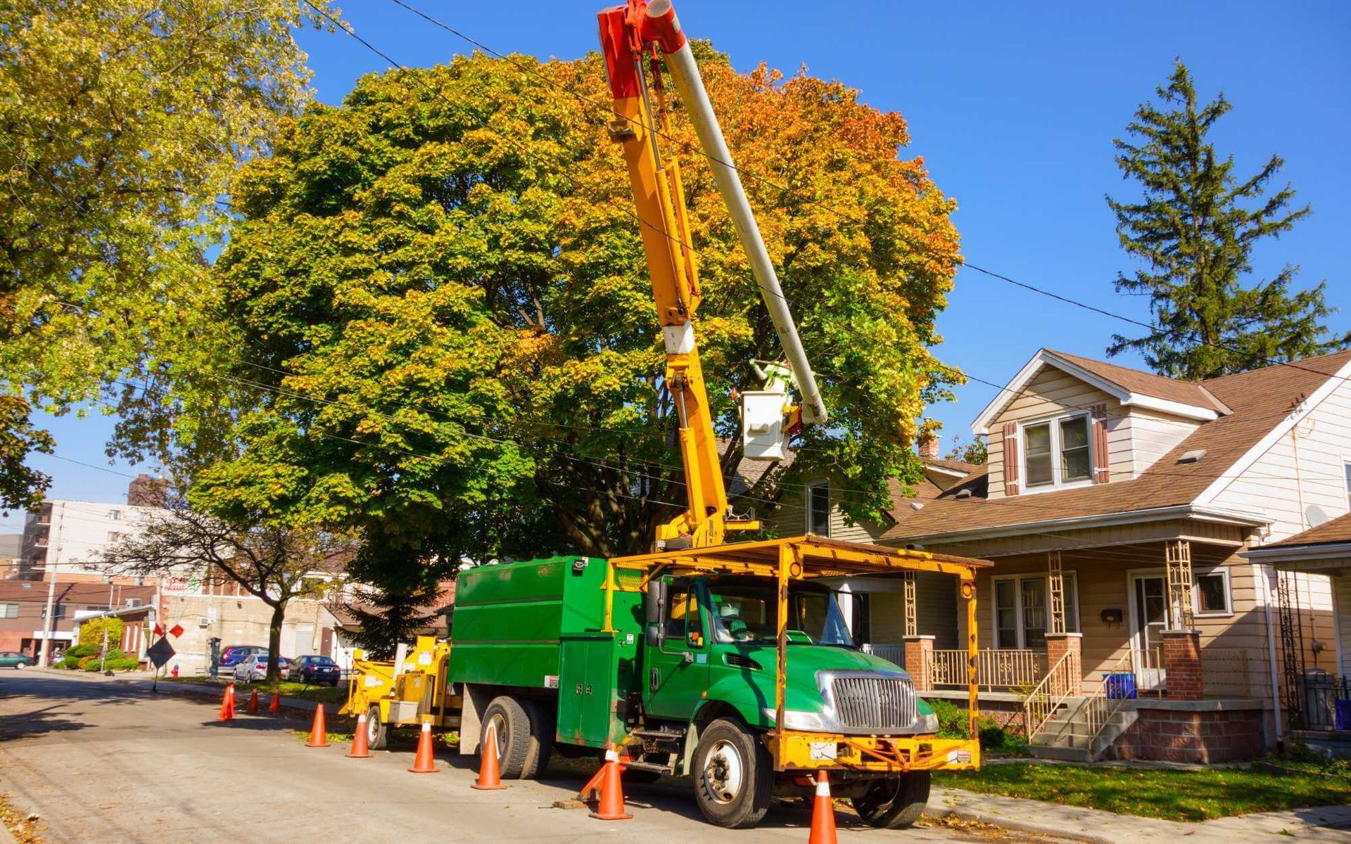 Real Tree Team performing emergency tree service in Boca Raton, FL