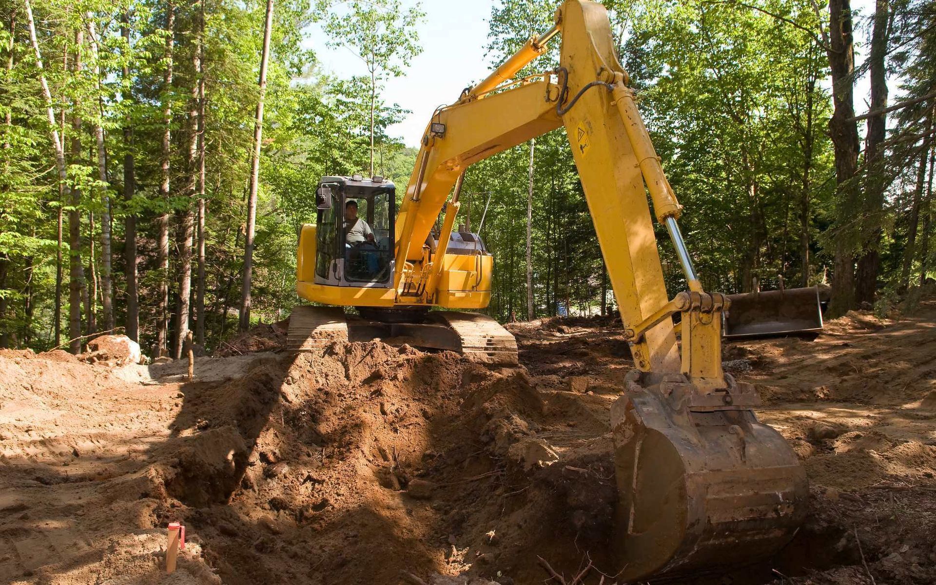 Tips and Tricks for Mitigating Construction Impact on Trees