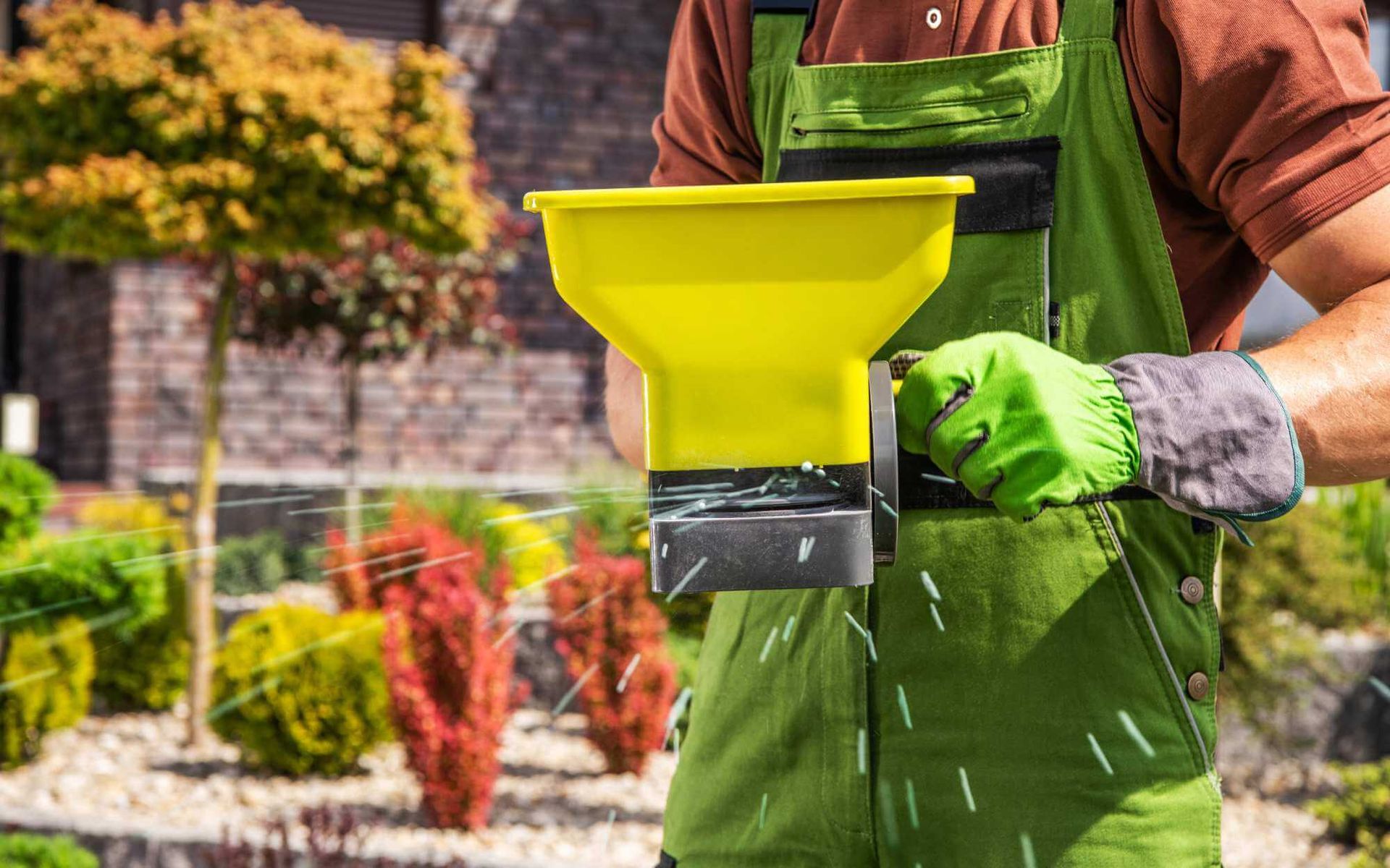 professional arborist carrying a broadcast spreader filled with synthetic fertilizers