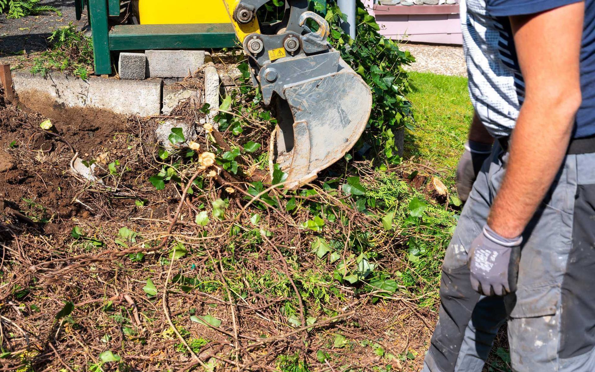 The Real Tree Team digging out stumps using an excavator