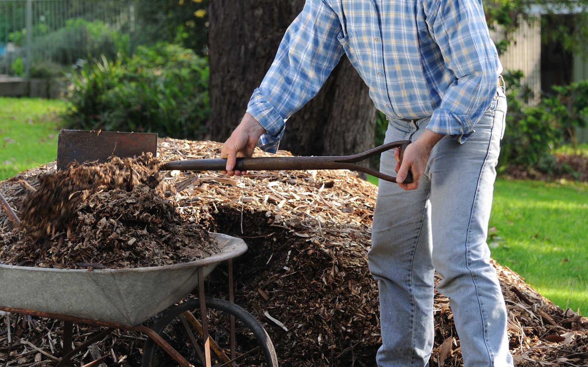 mulches as soil nutrient enhancers