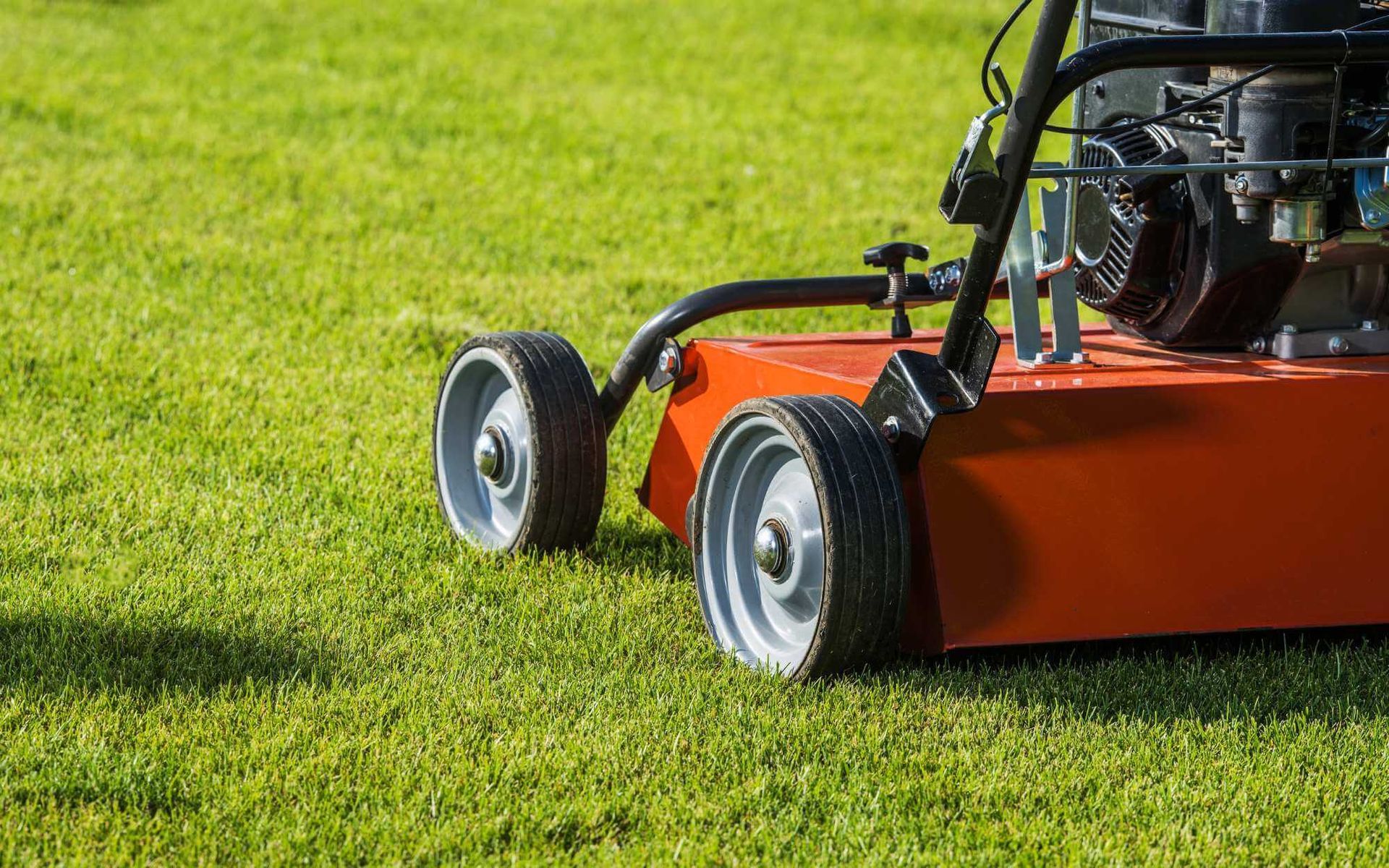 Hands-On Tree Care: DIY Soil Aeration Techniques for Trees