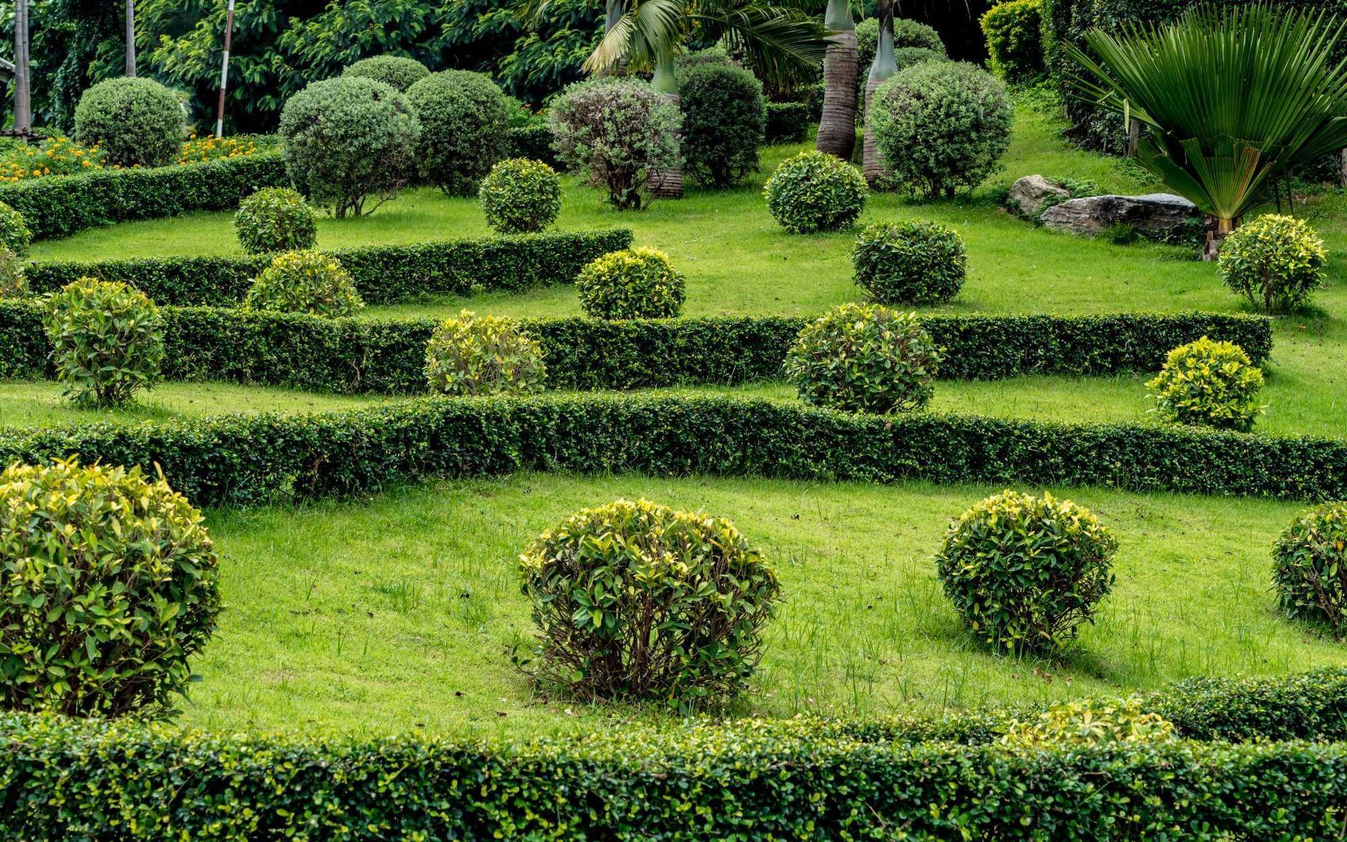 equally healthy and beautiful landscape in a residential property in Boca Raton, FL