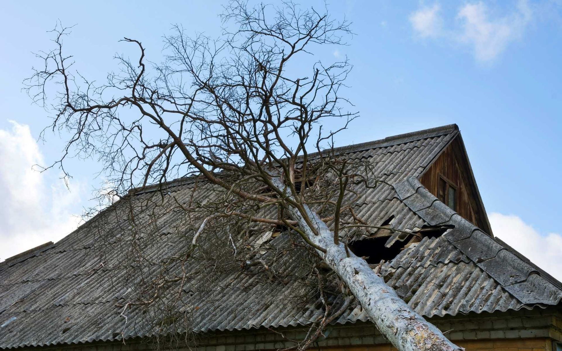 the falls on the asbestos-infected roof