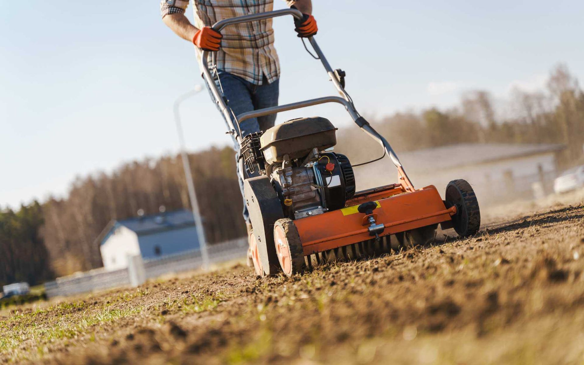 aeration for drought-resistant trees