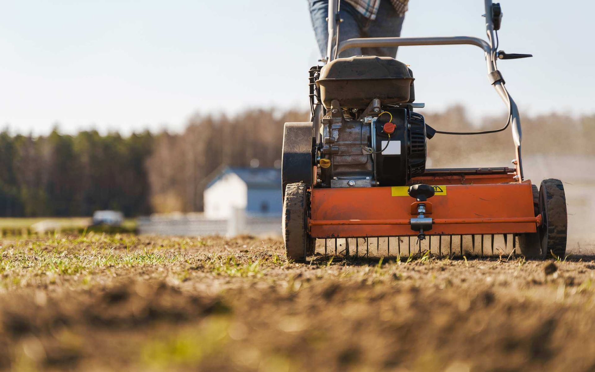 Soil Aeration’s Role in Cultivating Drought-Resistant Tree