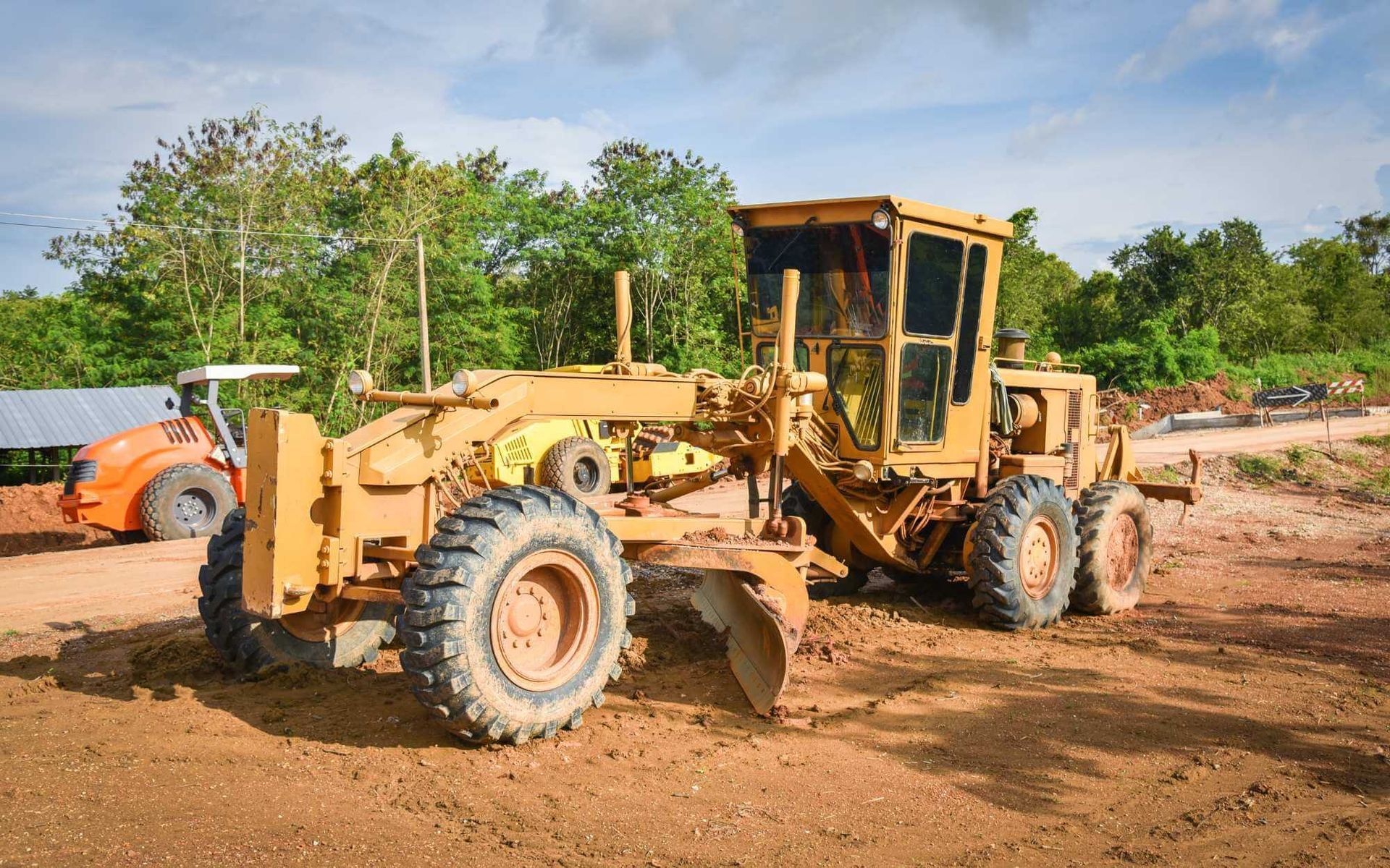 Safety First: Tree Safety Measures During Building Projects