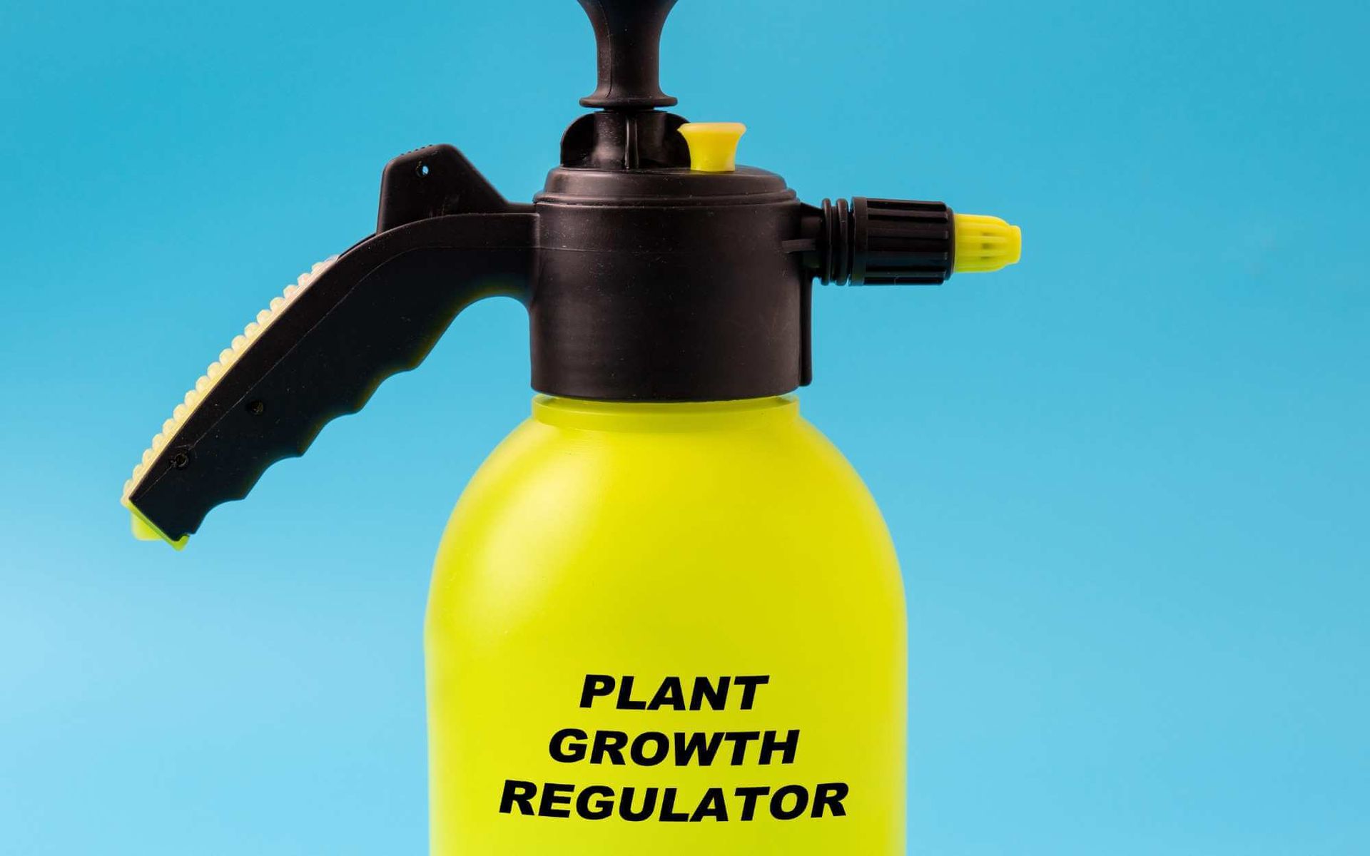 plant growth regulator