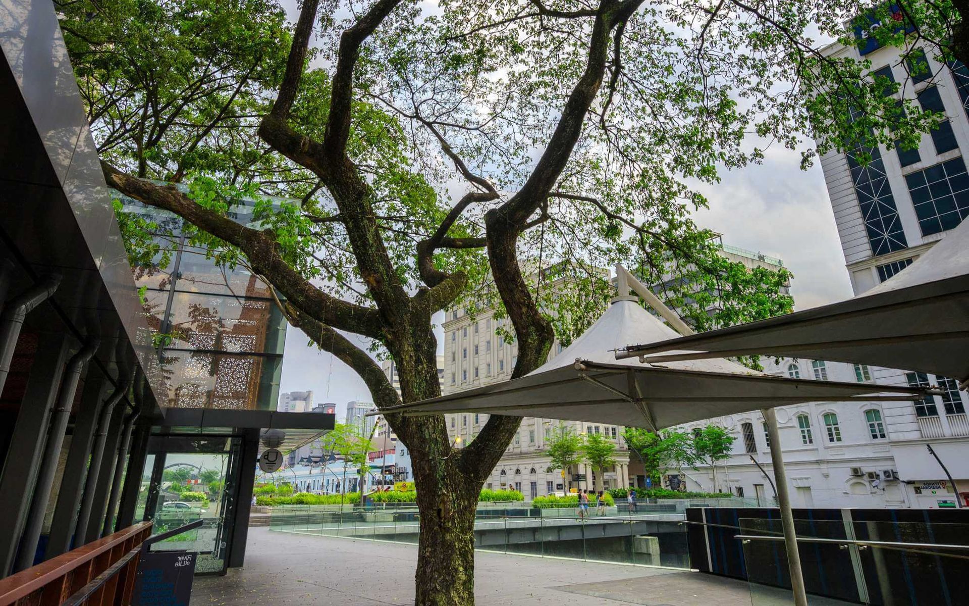 post-construction tree maintenance