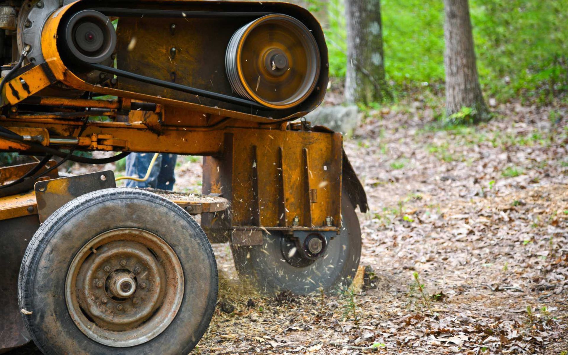 stump grinder in operation