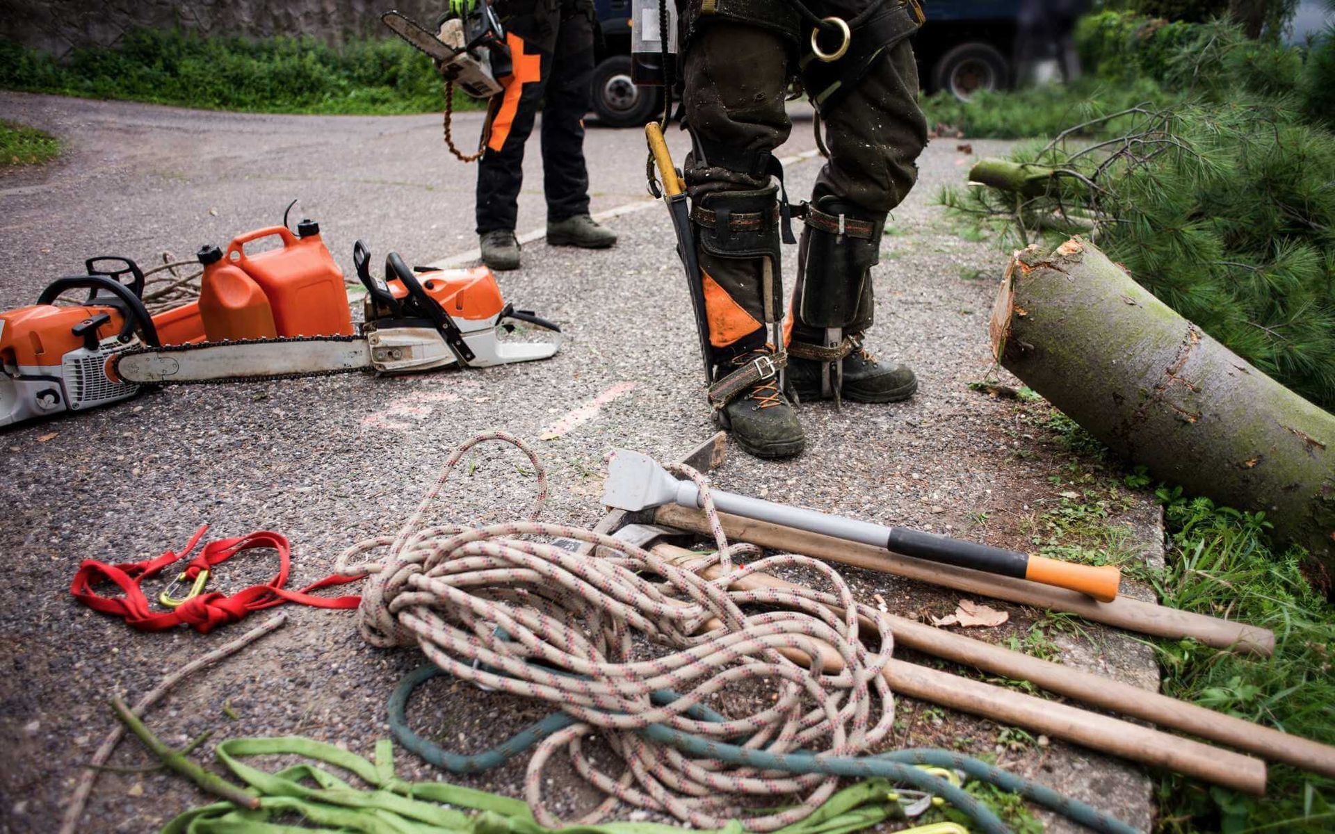 chainsaw, ropes, and other tree pruning tools are laid on the ground for easy access