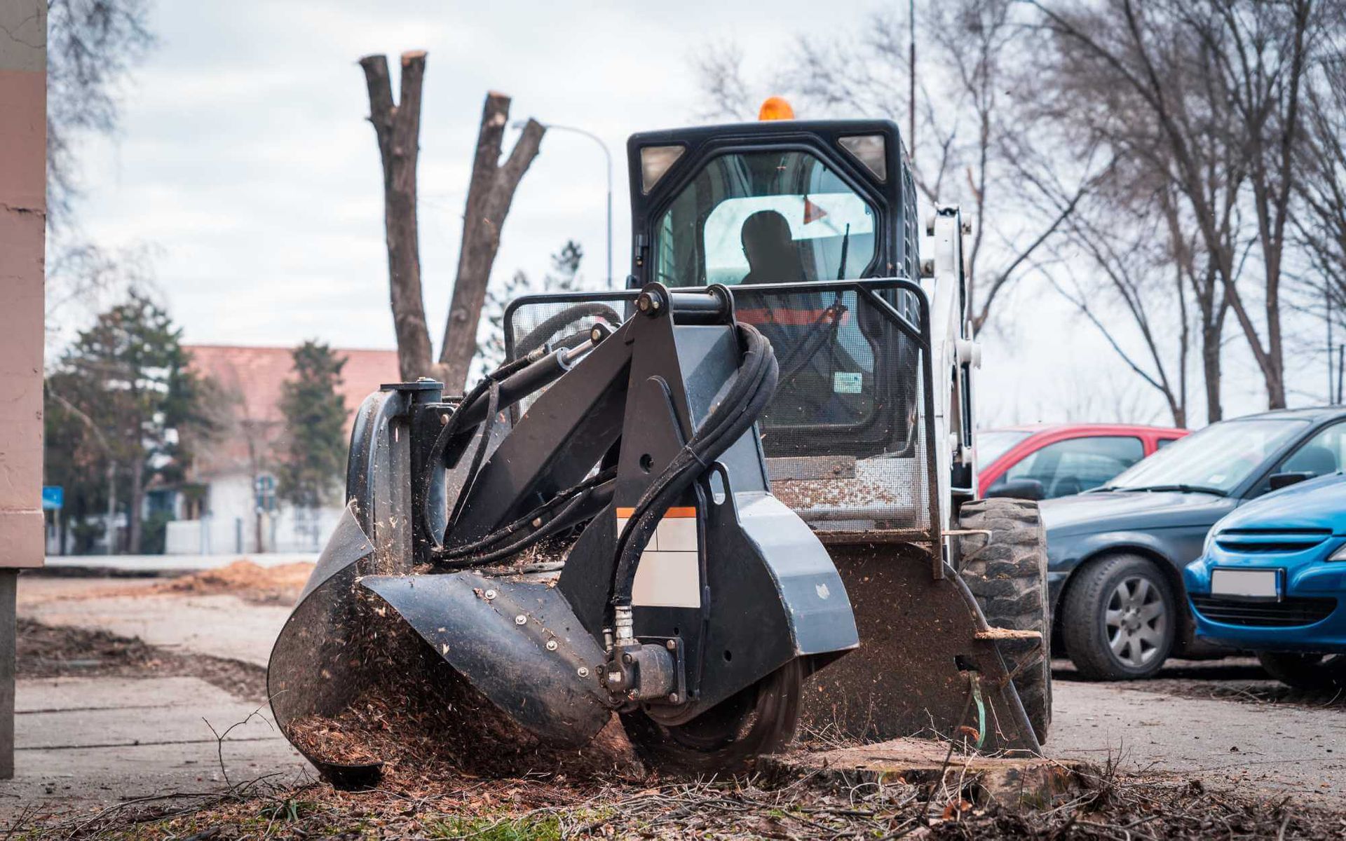 removing the pesky stump from the front yard