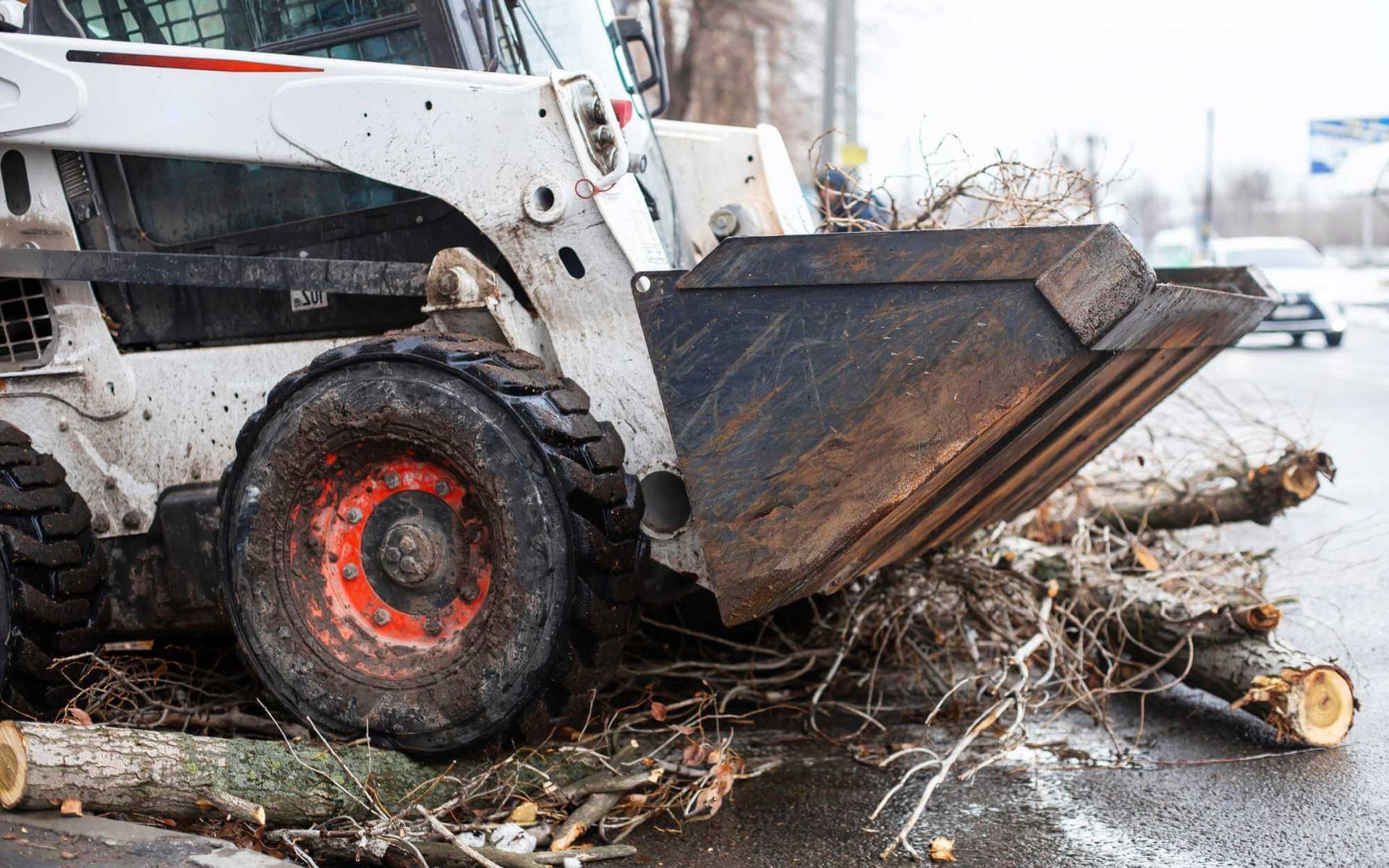 immediate tree road blockage removal service