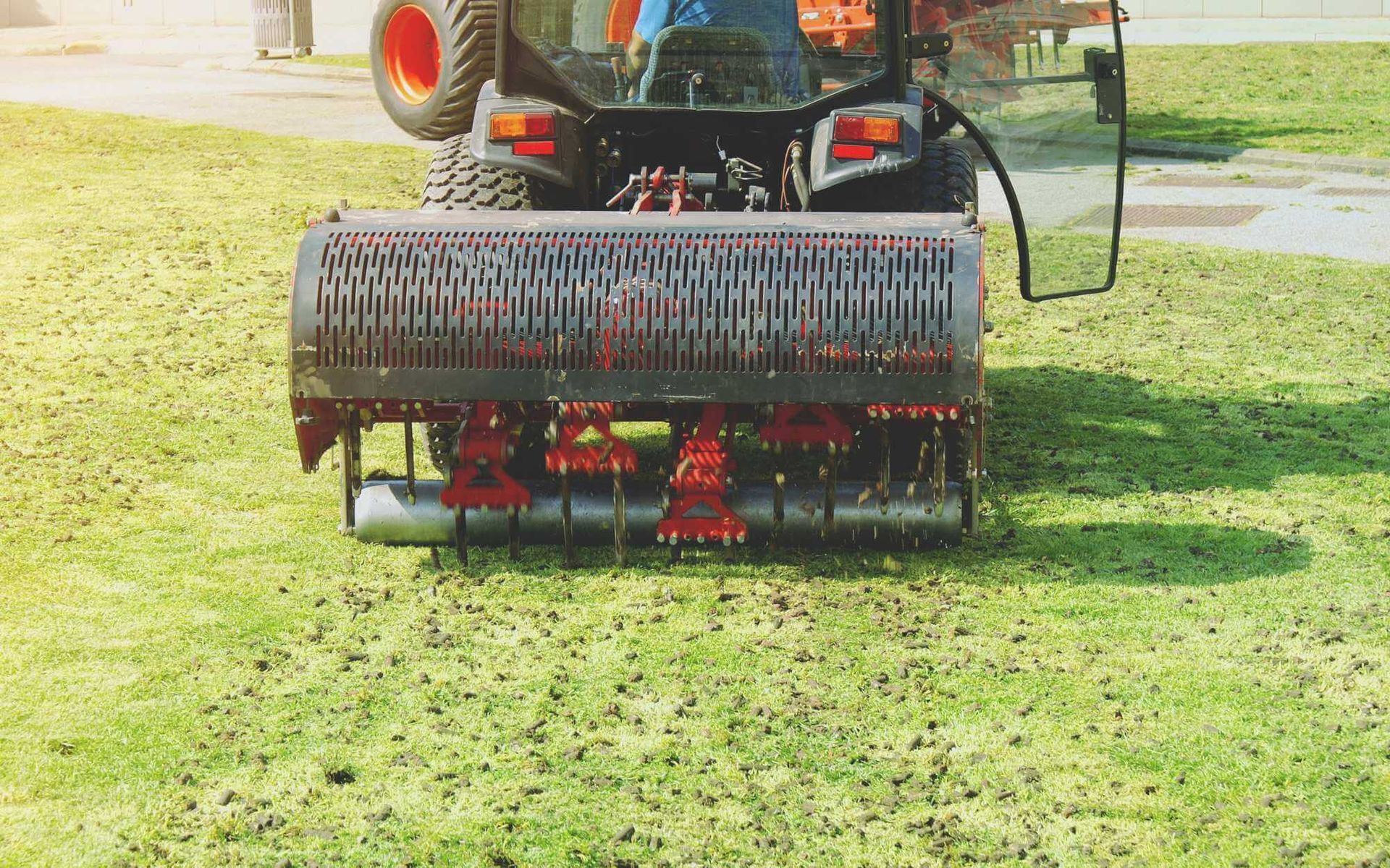 How Professional Soil Aeration Services Elevate Tree Care