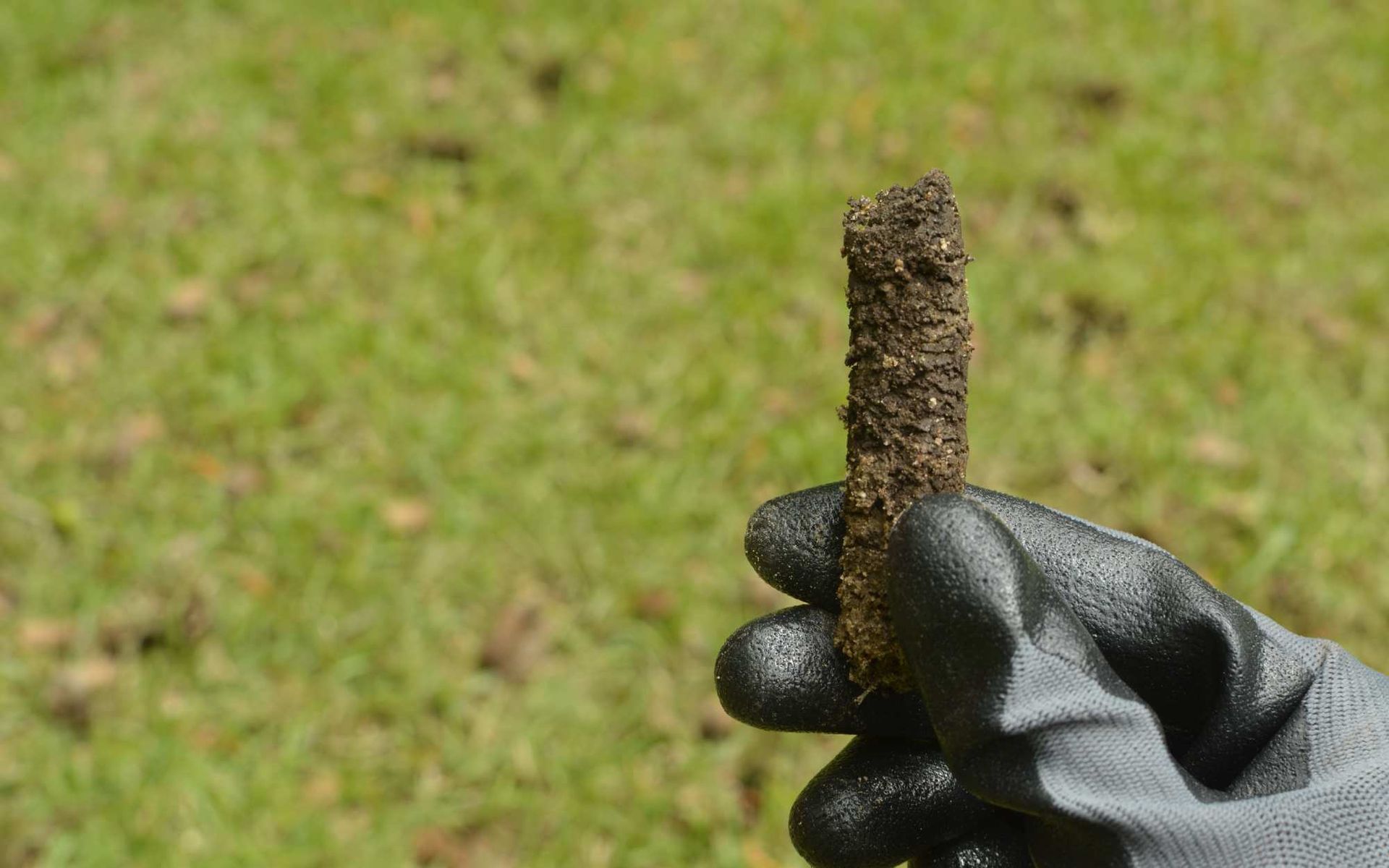 soil core from aeration