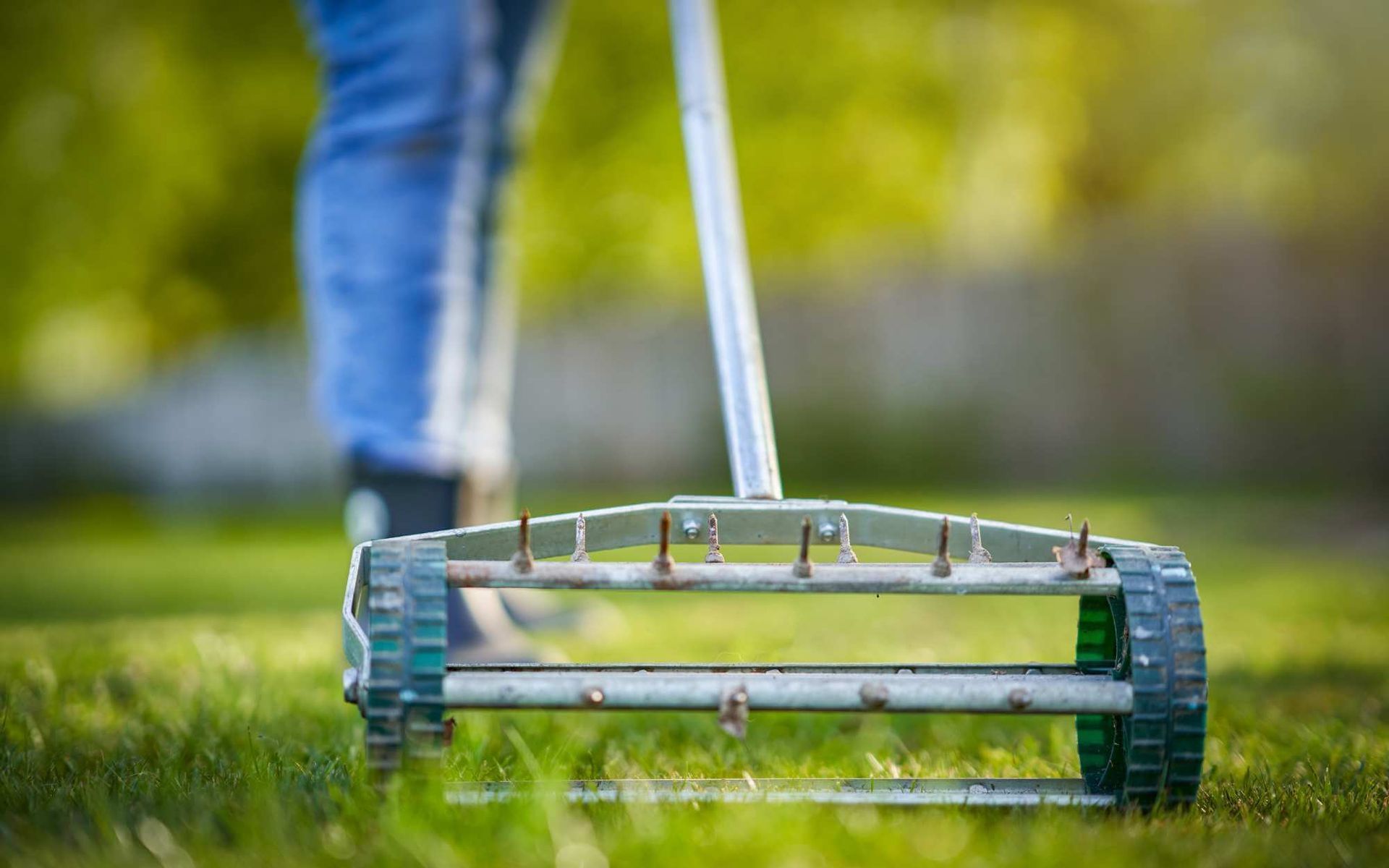 Aeration as a Natural Pest Prevention Method for Trees