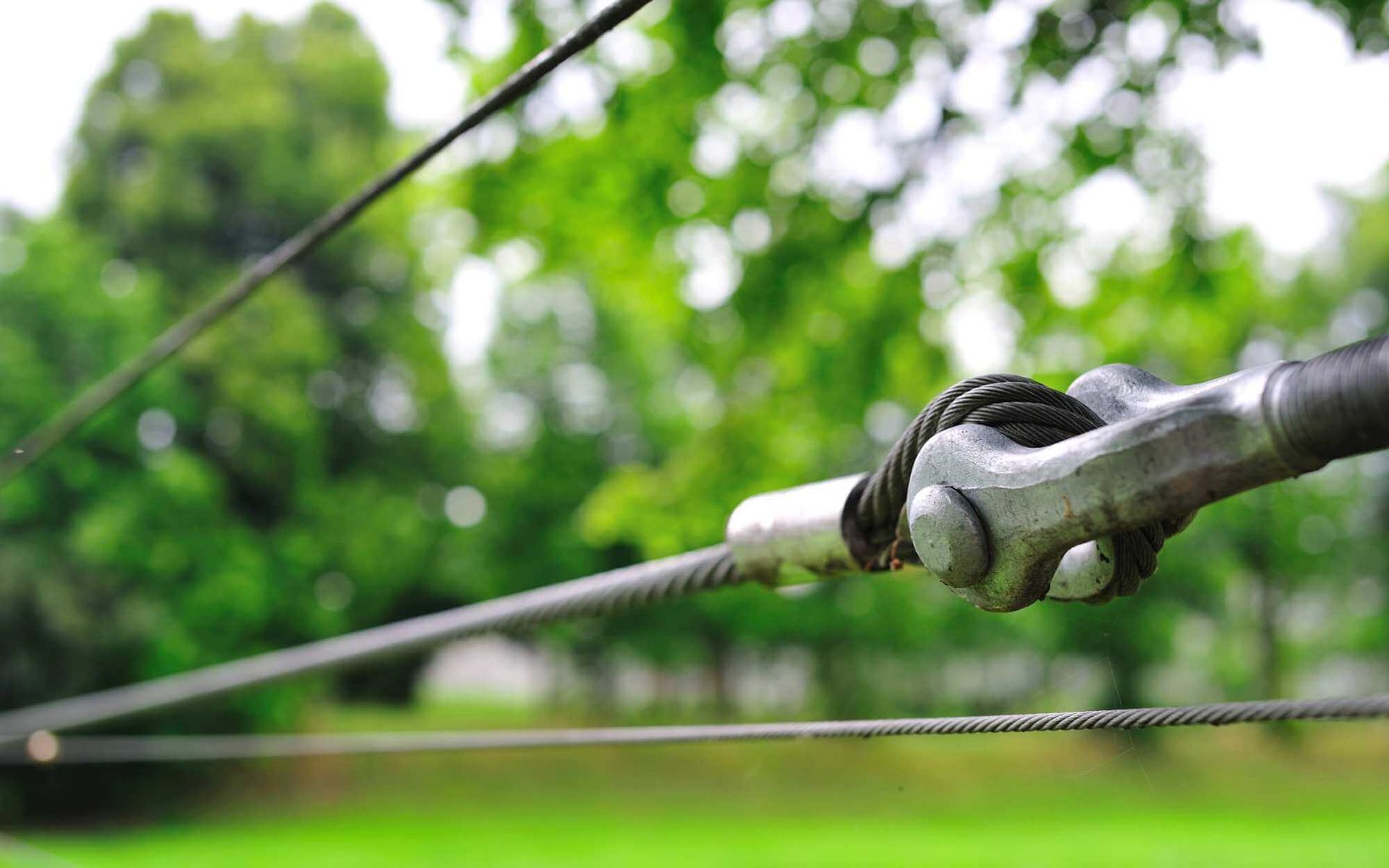 cabling Boca Raton trees with steel