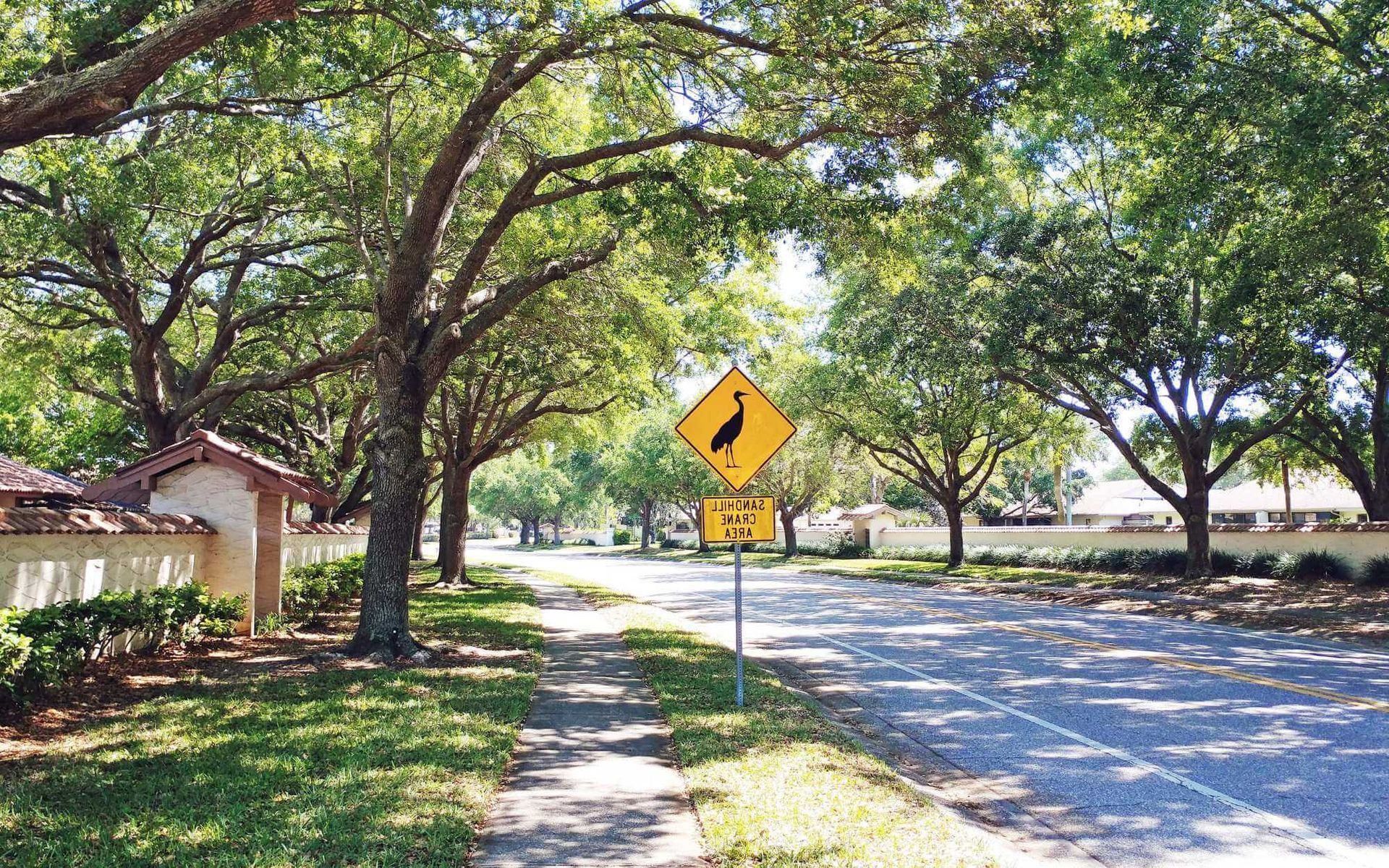 Improving Air Quality through Urban Tree Management