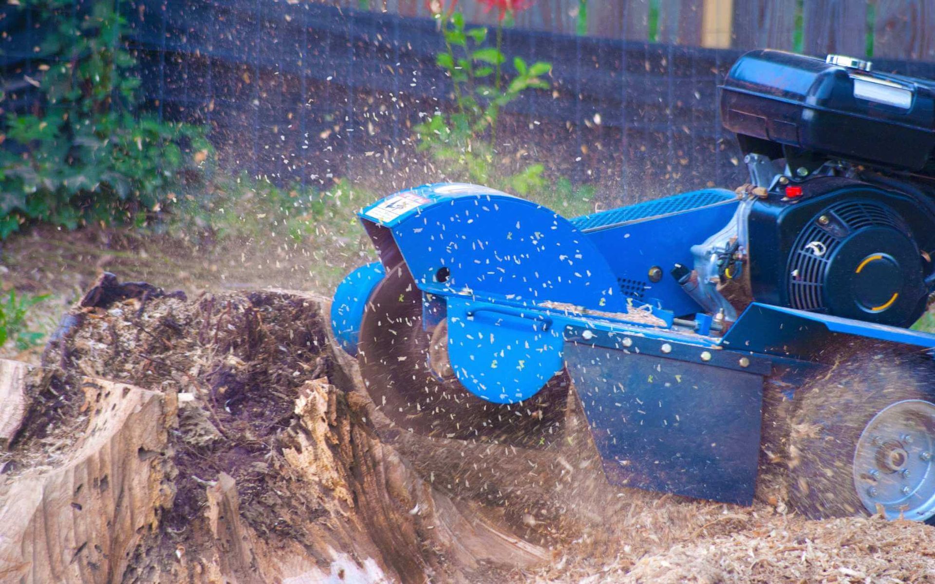 a stump grinding machine being operated by a Real Tree Team pro