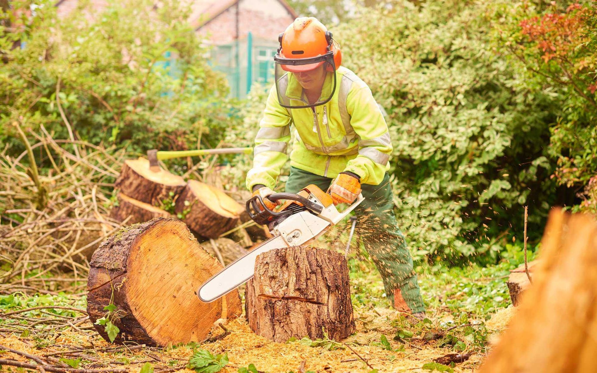 Boca Raton-certified arborist performing tree removal