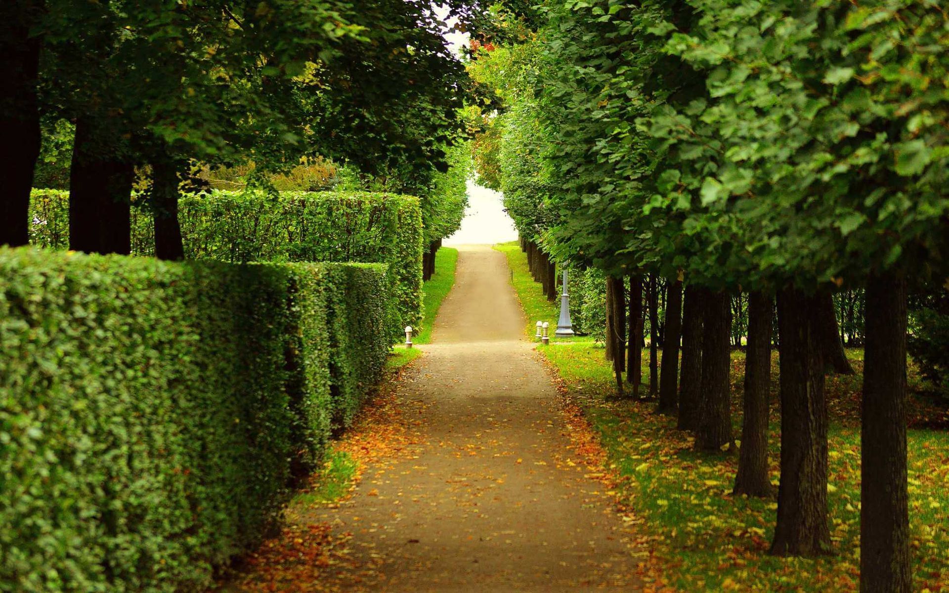 a well-maintained landscape in a Boca Raton private property