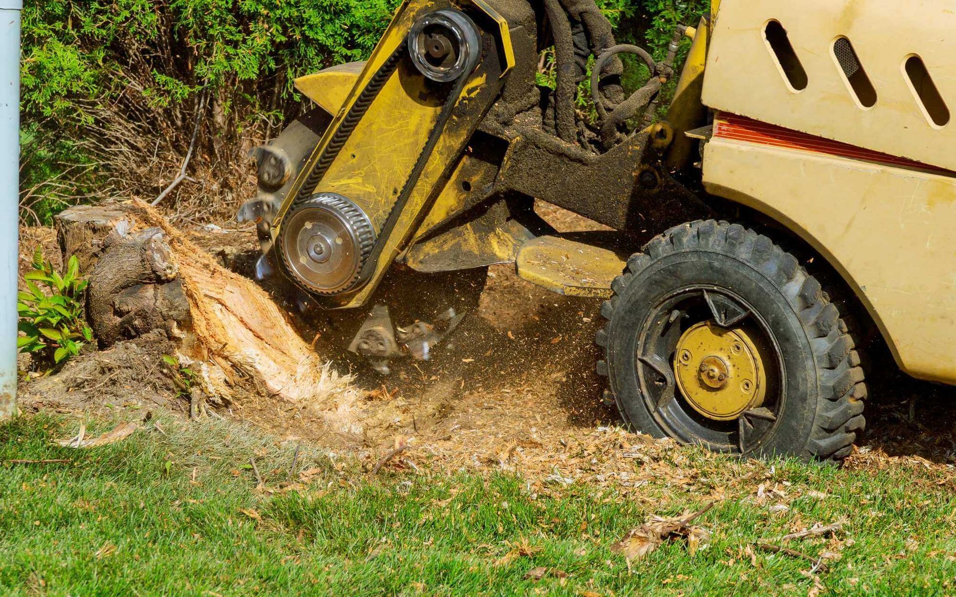 a tree stump being shredded into wood chips