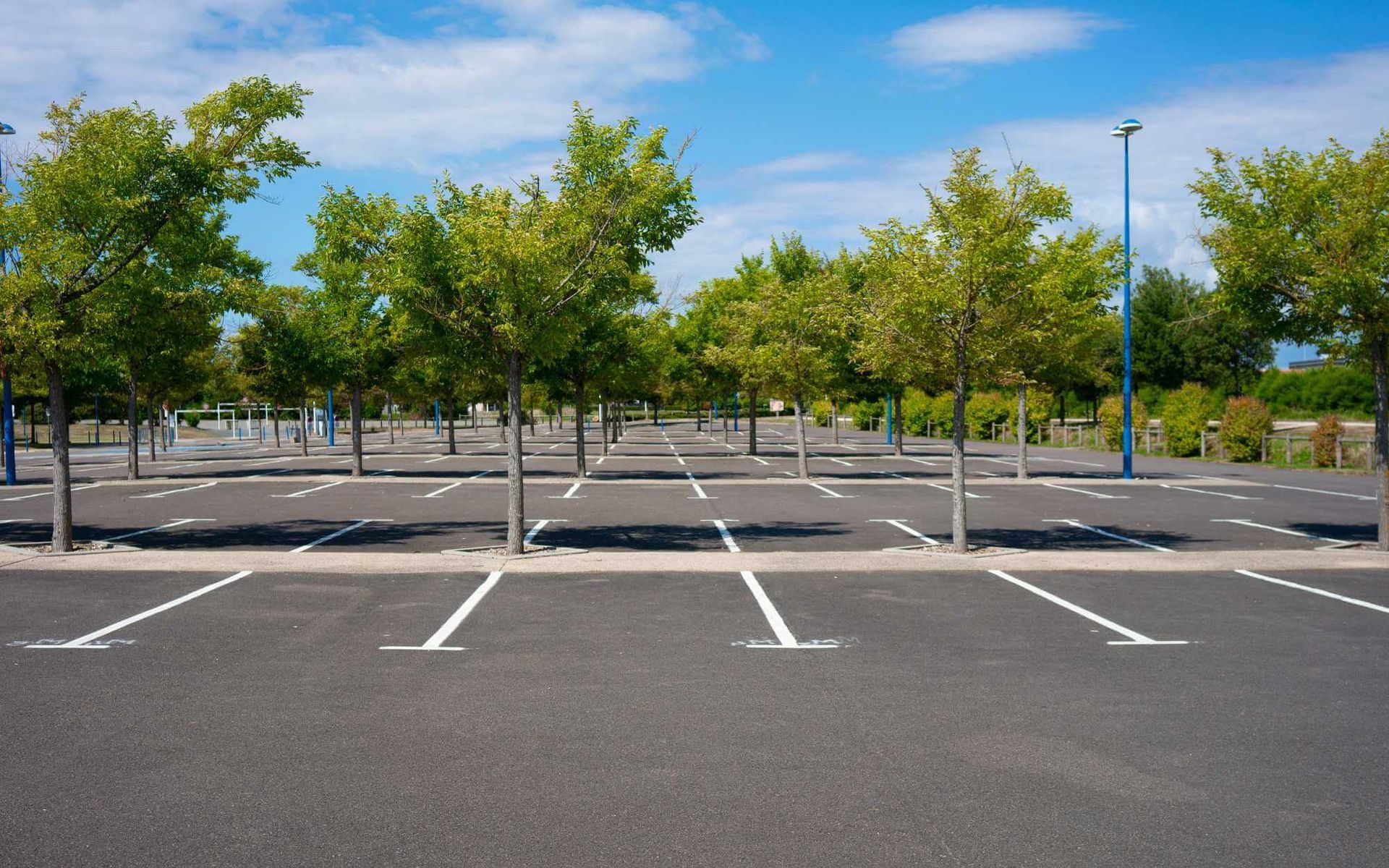 urban sustainability in a Boca Raton parking lot