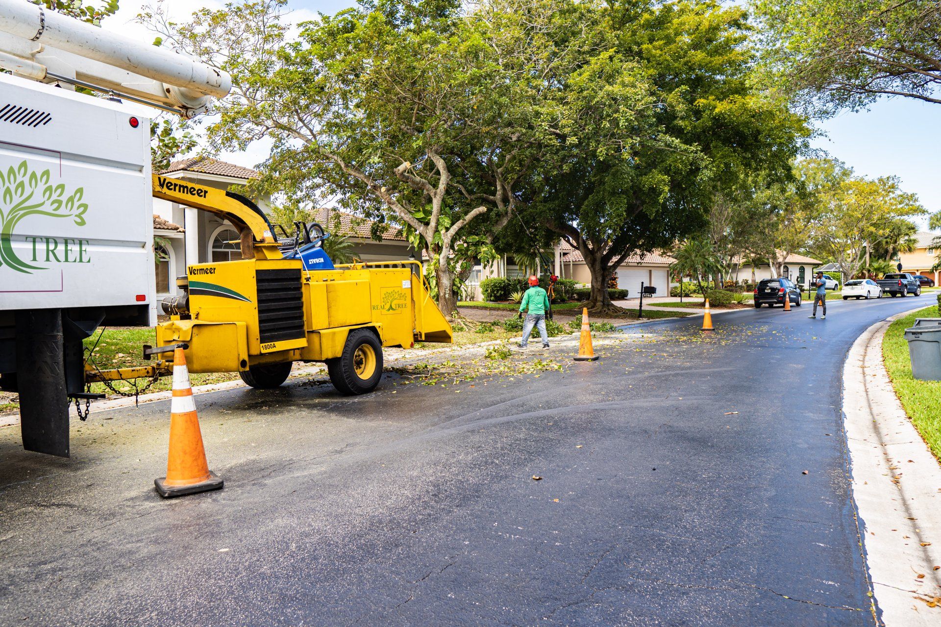 Going Green: Eco-Friendly Approaches to Storm Tree Cleanup