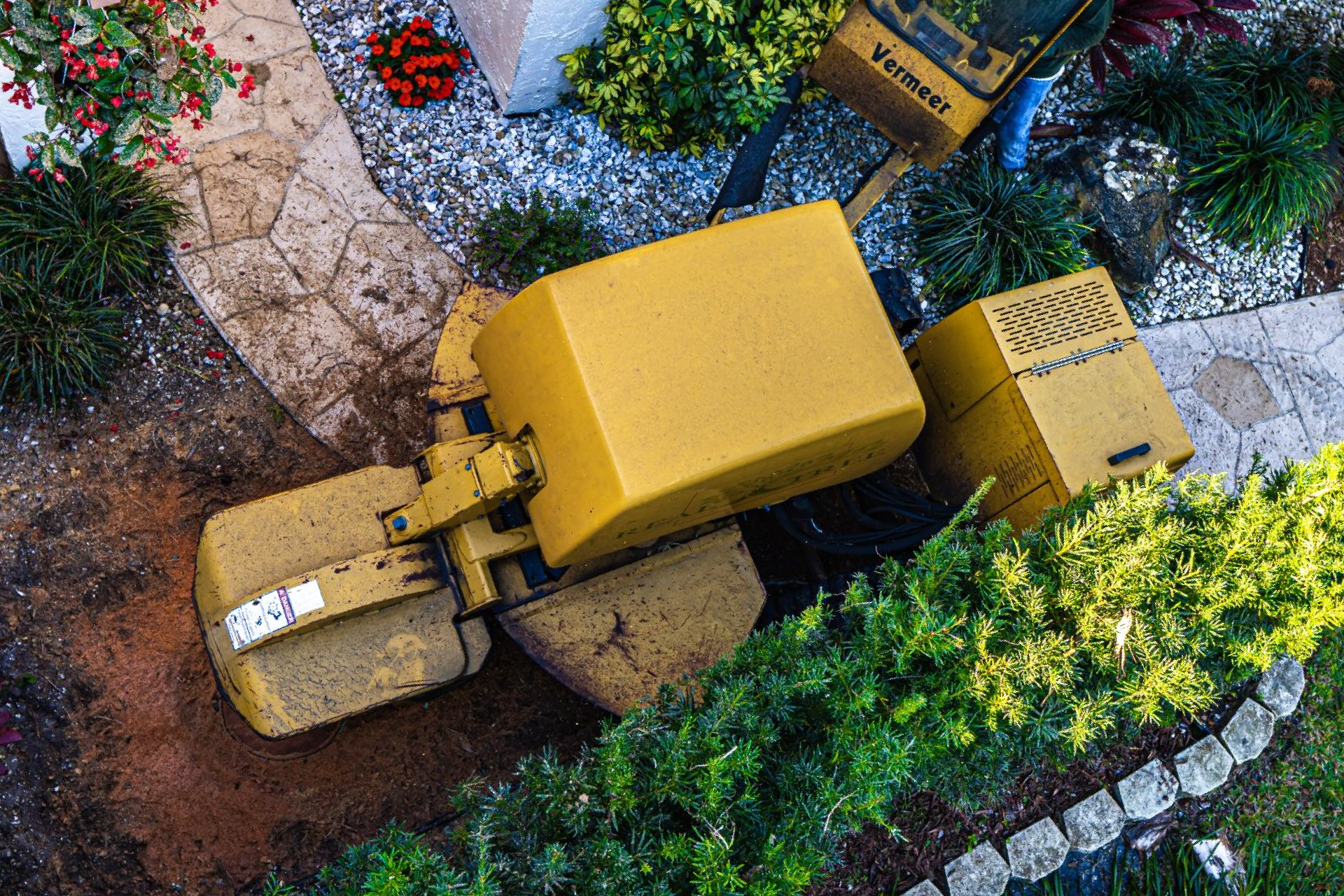 stump grinding machine removing a stump in Palm Beach County