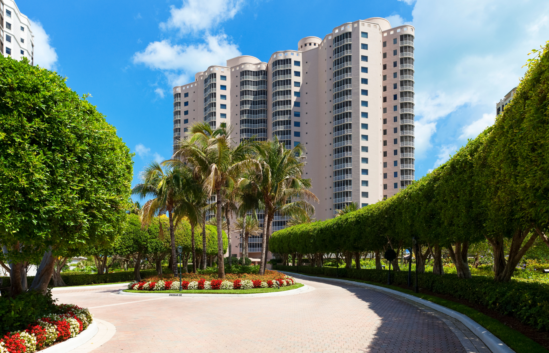 thriving trees in front of buildings