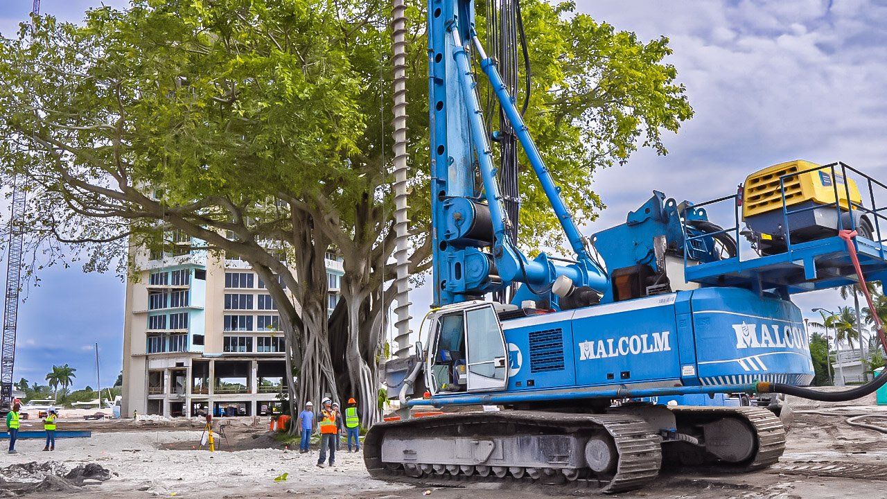 Build with Care: Protecting Tree Roots during Construction