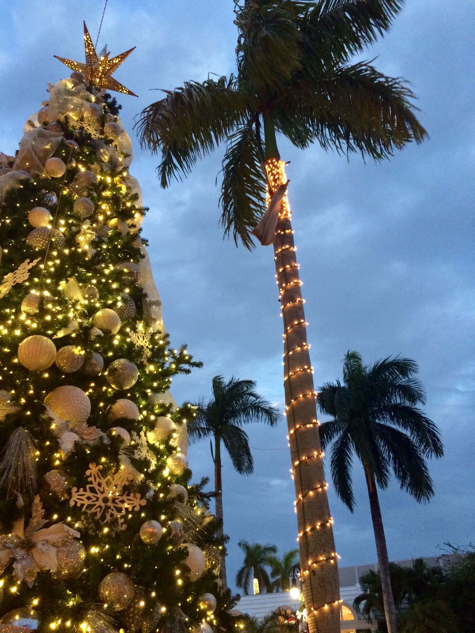 Christmas lights installed on a christmas tree and a palm tree in Boca Raton, FL