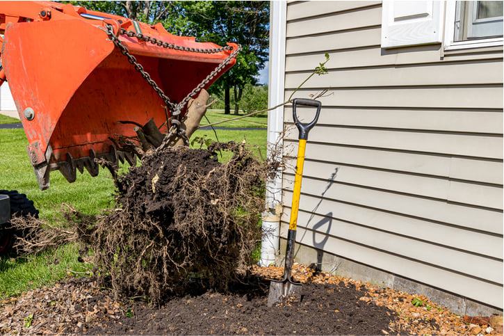 an excavator in operation to remove the remaining tree stump