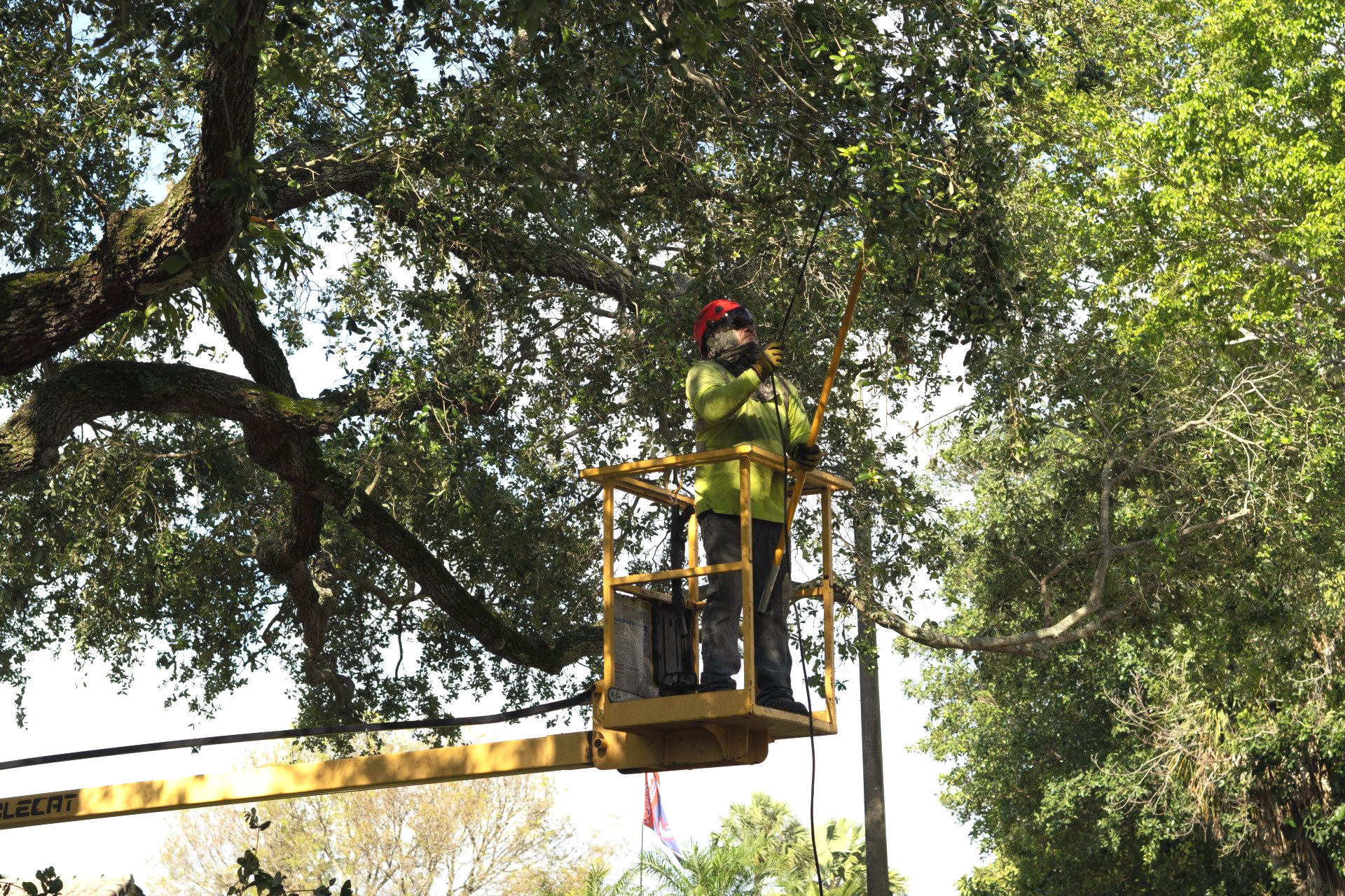 cherry picker being used to trim trees in fort lauderdale fl