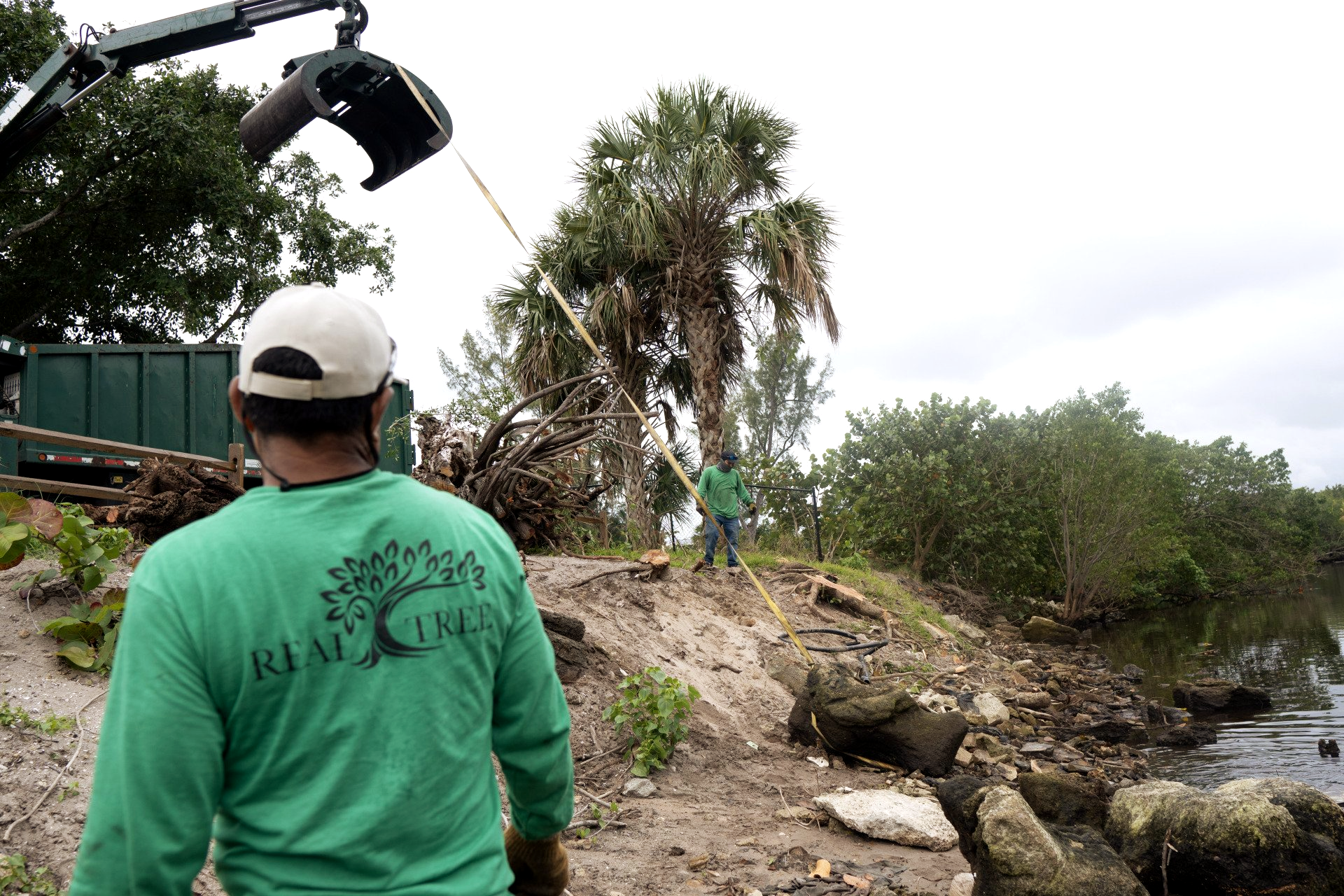 Uniformed tree service worker standing by while a tree removal is taking place on the bank of the intracoastal waterway in Fort Lauderdale