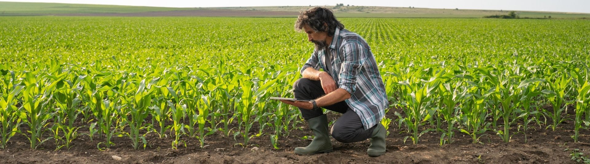 clima e agricultura com biond análises