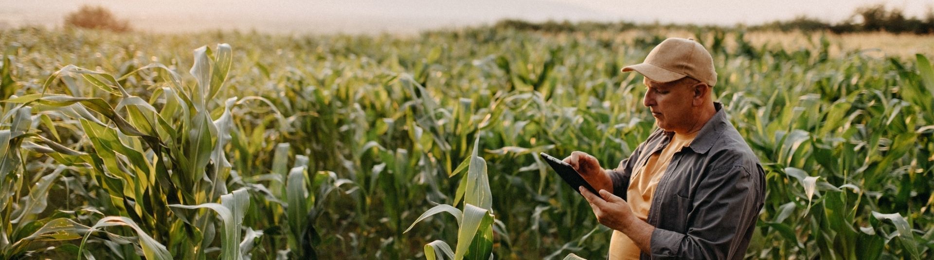 novidades do agro