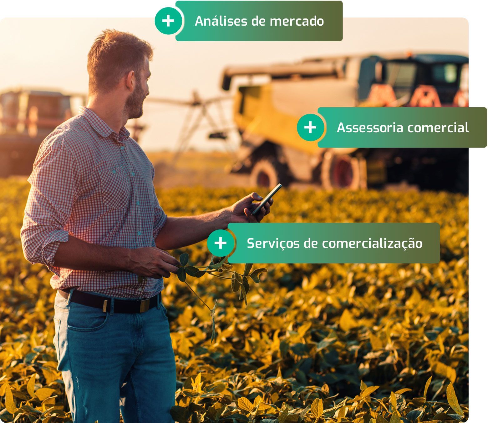 Análise de mercado, assessoria comercial e comercialização para o agro